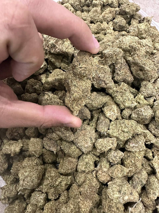 K Nhập Vip - OG KUZH -SG/ CPN