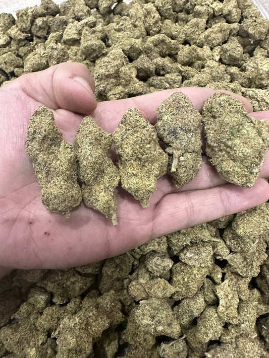 K Nhập Vip - OG KUZH -SG/ CPN